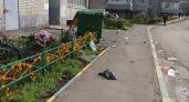 В Великих Луках женщина устроила «бомбардировку» тротуара вещами