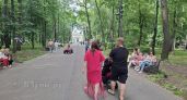 В Псковской области учредят Книгу почета и Доску почета многодетных семей