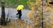Сильные дожди ожидаются в Великих Луках 24 сентября