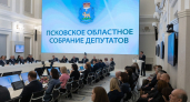 В Псковской области определили состав оргкомитета Заксобрания восьмого созыва