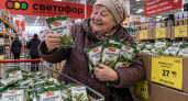 Скупаю лавровый лист в «Светофоре» по 10 пачек: дома и на даче заменяет кучу вещей круглый год