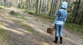 В МЧС Псковской области рассказали, как безопасно ходить в походы осенью
