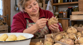 Картошка проросла — можно ли обломать ростки и приготовить: запомните ответ раз и навсегда