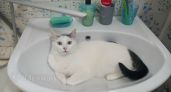 В Великих Луках 13 октября временно отключат воду в нескольких домах