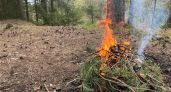 В Псковской области завершился пожароопасный сезон