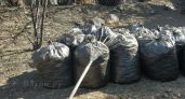В Великих Луках до 15 ноября продлится осенний месячник по благоустройству