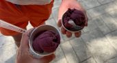 В Псковской области развернули груз из 13,5 тонны мороженого из Швейцарии