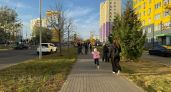До +13 градусов потеплеет в Великих Луках 22 октября