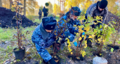 Под Великими Луками благоустроили берег пруда и высадили новые растения