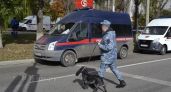 Двух жителей Великих Лук подозревают в сокрытии информации о подготовке диверсии