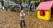 В Великих Луках рассказали, куда обращаться из-за неубранных листьев во дворе