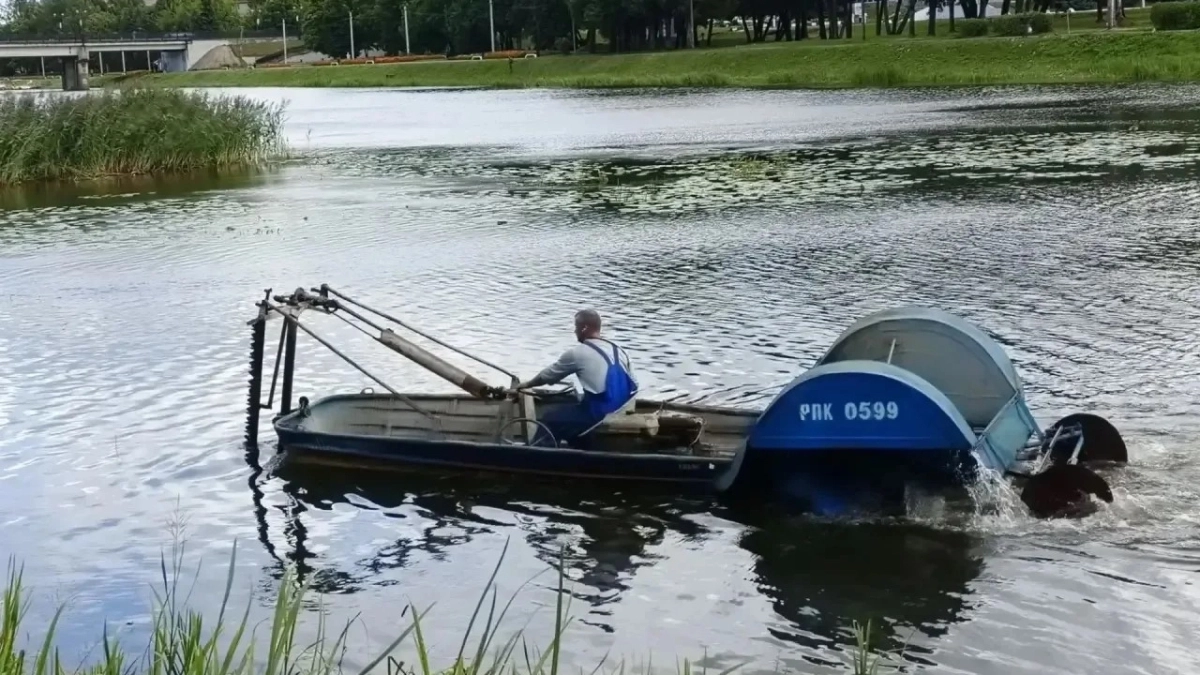 На реке Ловати в Великих Луках проводят плановый покос водной растительности
