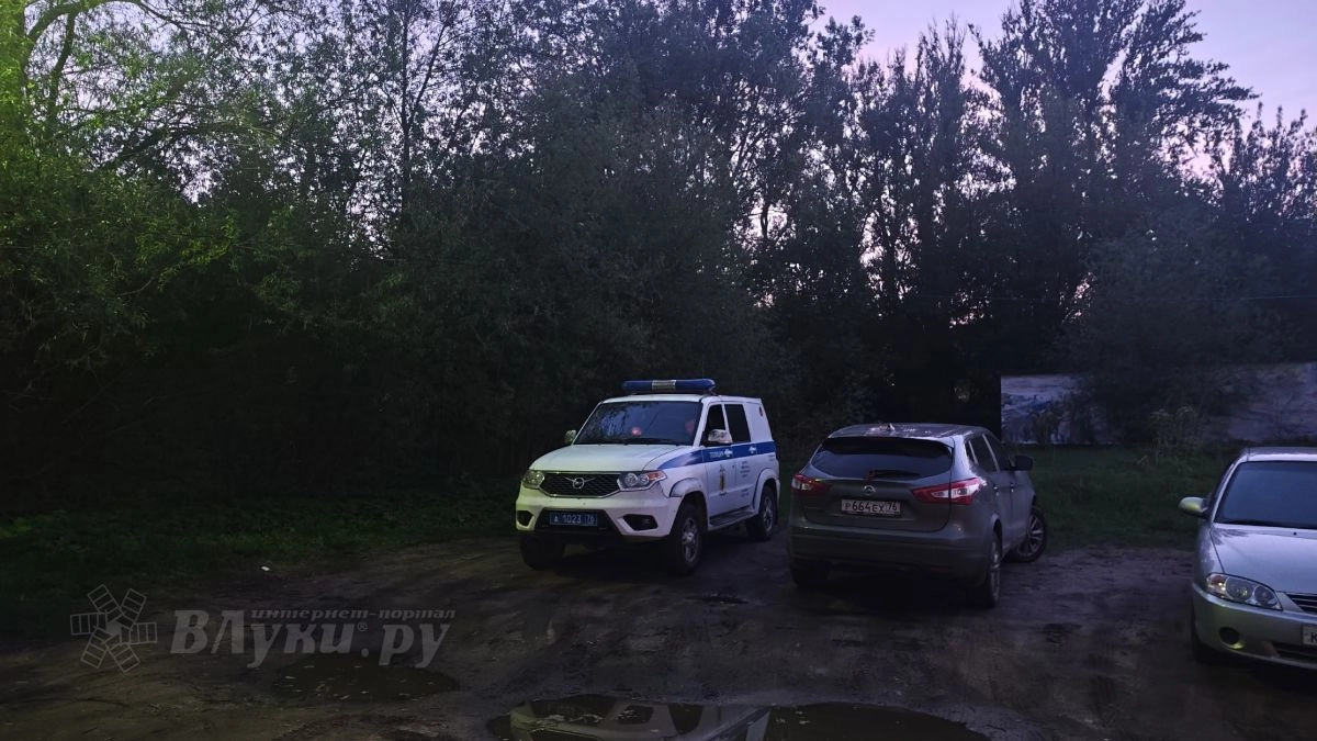 Суд в Невеле вынес приговор пятерым иностранцам за незаконный переход границы России