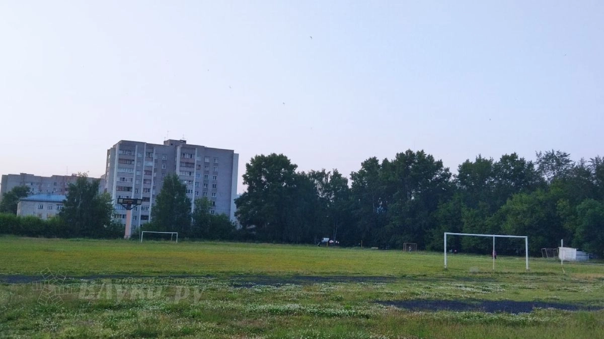 Уроженец Великих Лук Дмитрий Аленичев снова стал главным тренером тульского «Арсенала»