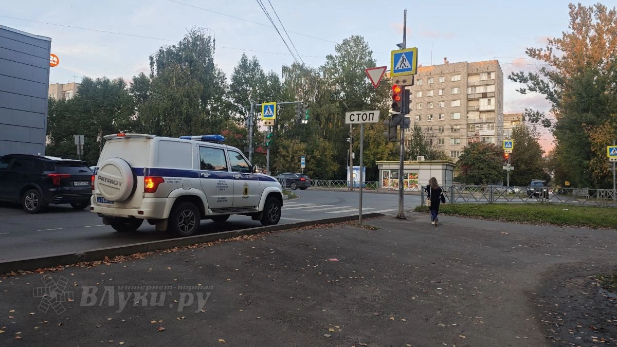 МВД выплатит 2 миллиона рублей за информацию о похищении великолукских школьников