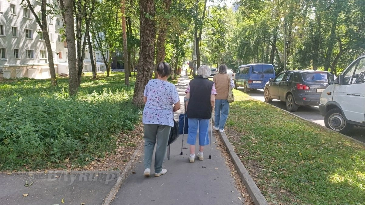 Бесплатная стрижка, баня и театр — что приготовили для пенсионеров Великих Лук на День пожилого человека