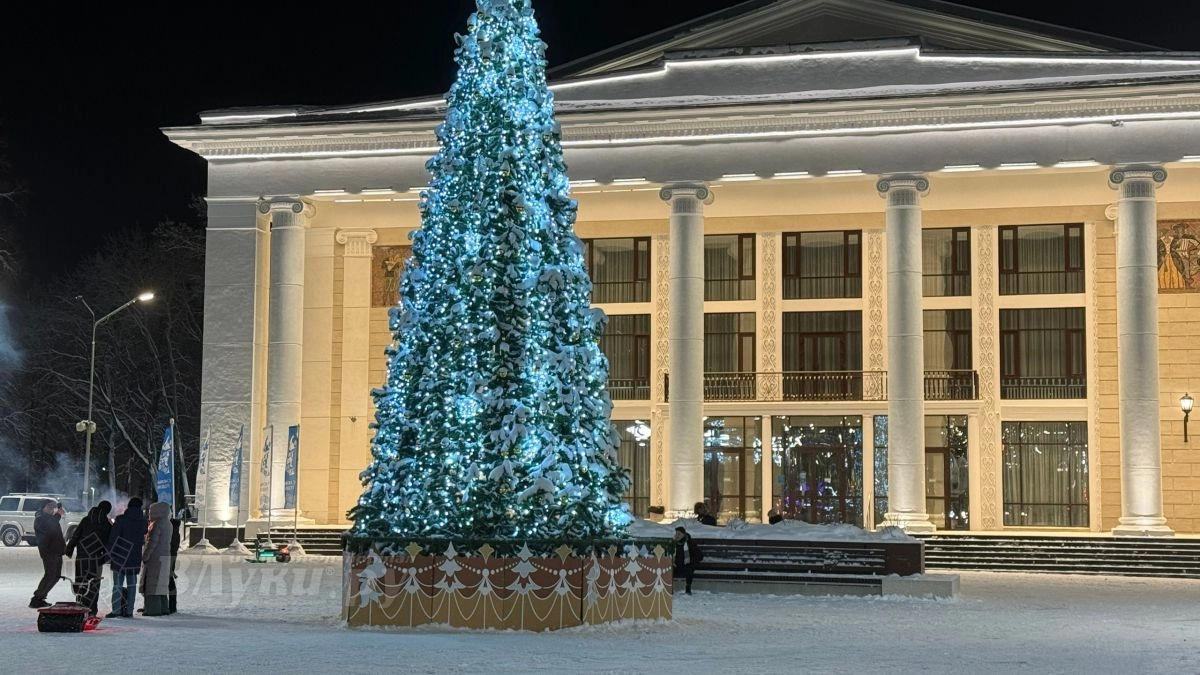 Жителям Великих Лук рассказали, сколько они будут отдыхать на новогодние