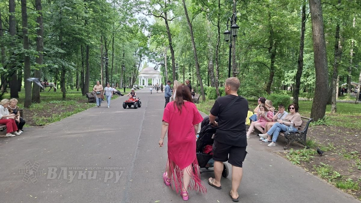В Псковской области учредят Книгу почета и Доску почета многодетных семей