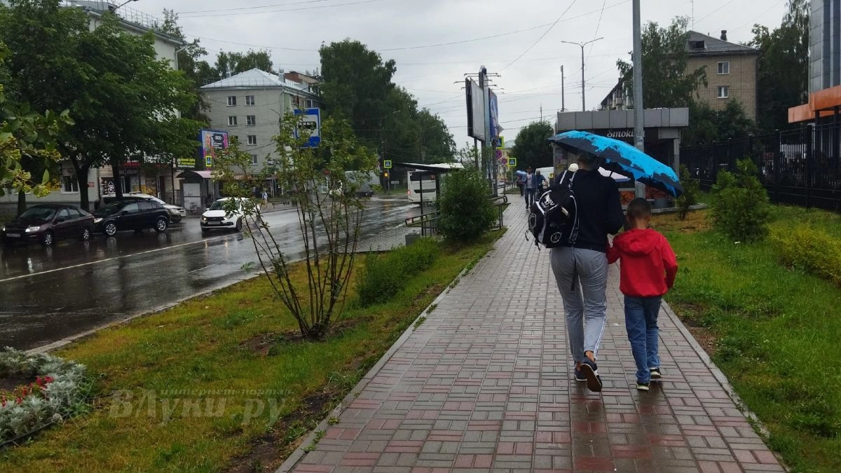 Облачно, с дождями: какая погода ожидается в Великих Луках 26 сентября