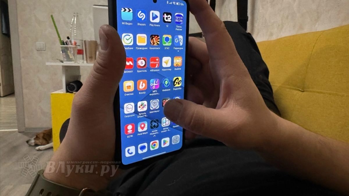 В Псковской области создадут систему госуслуг за 8 млн рублей