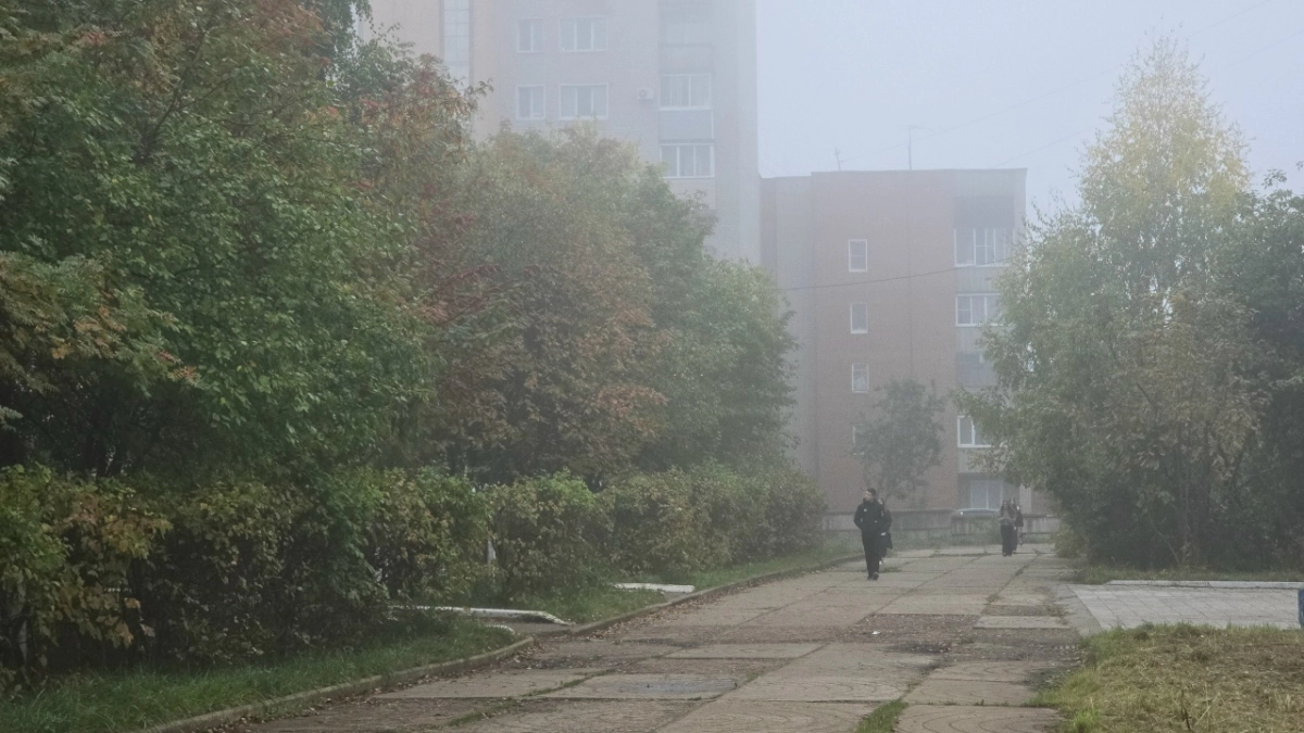 Туман, солнце и тепло: прогноз погоды в Великих Луках на завтра