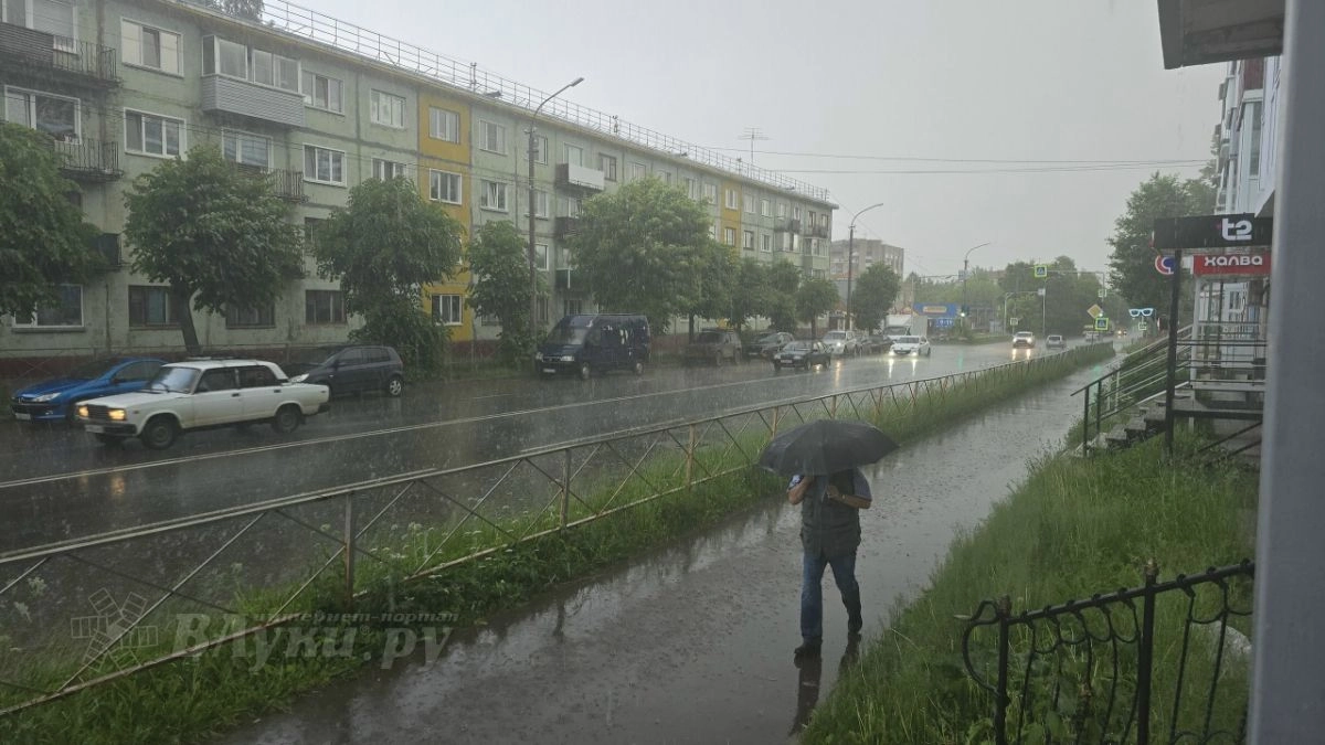 29 сентября в Великих Луках пройдут дожди и похолодает
