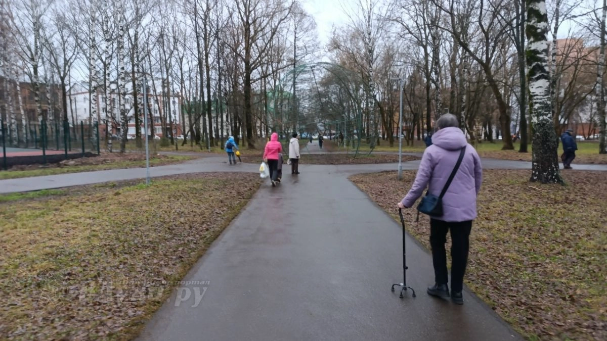 В Великих Луках 30 сентября будет облачно: какую ожидают температуру