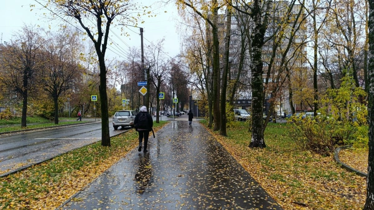 В Великих Луках 1 октября пройдут небольшие дожди: как похолодает на улице