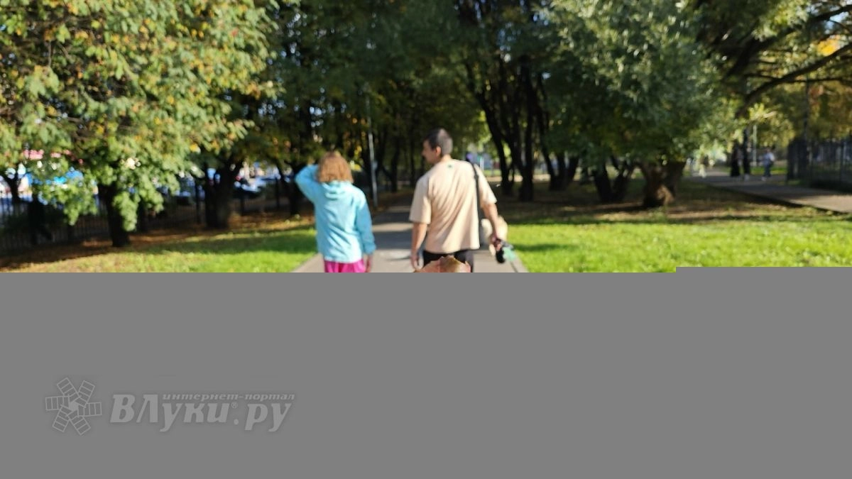 Октябрь в Псковской области будет теплее обычного