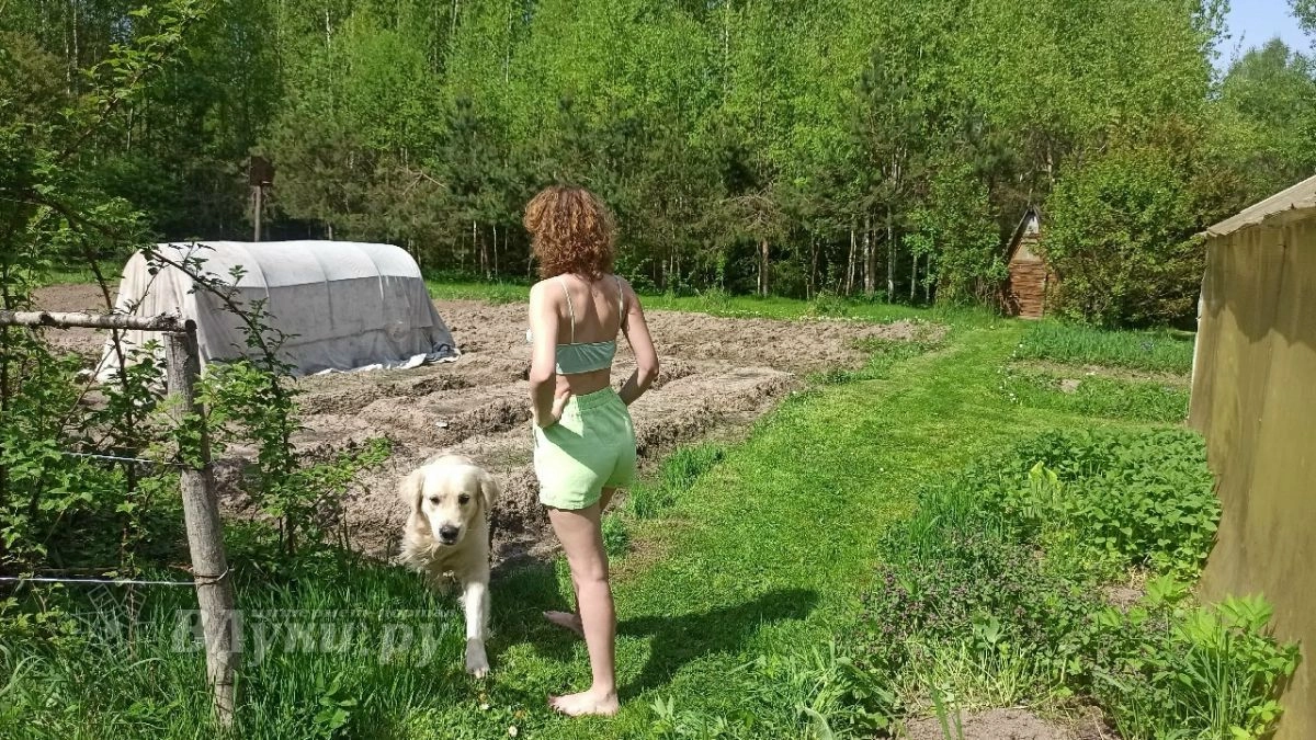 Как защитить дачу от краж: в полиции Псковской области дали советы