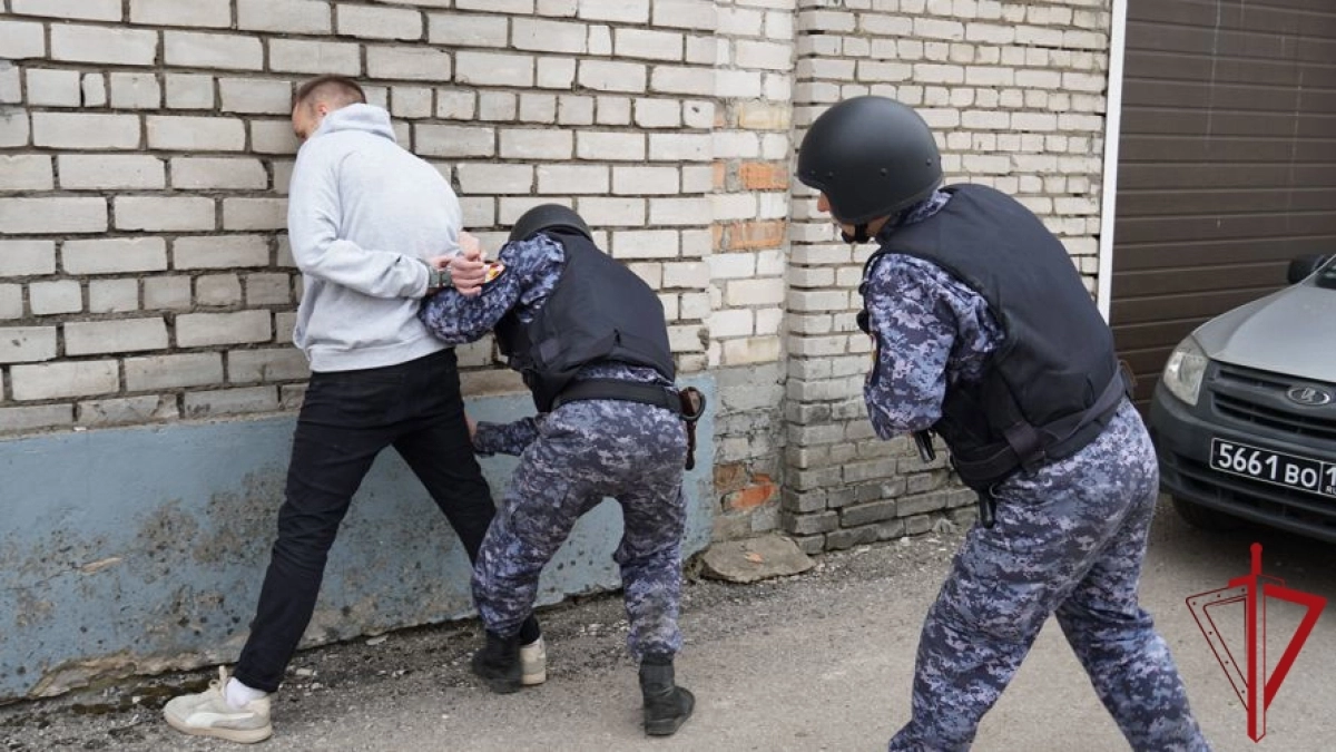 Росгвардейцы задержали 20 нарушителей в Псковской области за неделю