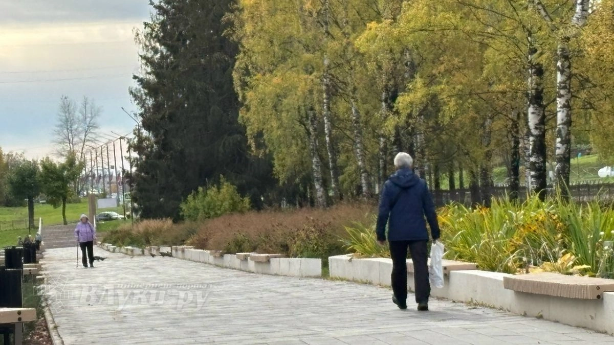 Дожди и похолодание: какая погода ожидается 4 октября в Великих Луках