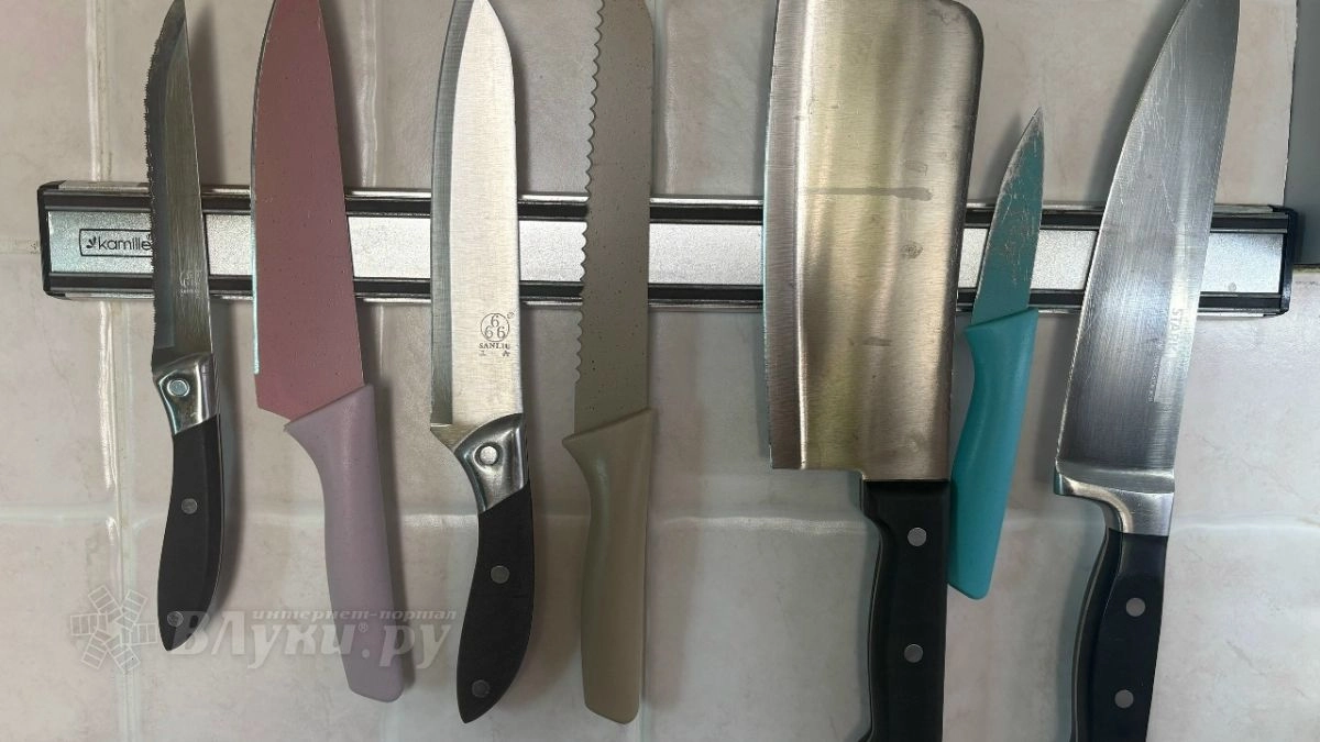 Поножовщина из-за неготового обеда: жительнице Великих Лук, напавшей на сожителя, пролили арест