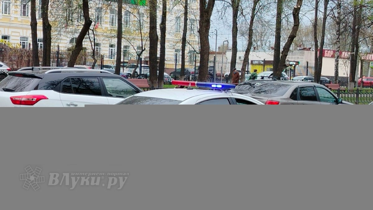 Очнулся на крыше посреди пруда: пьяный пскович без прав утопил чужой микроавтобус в День трезвости