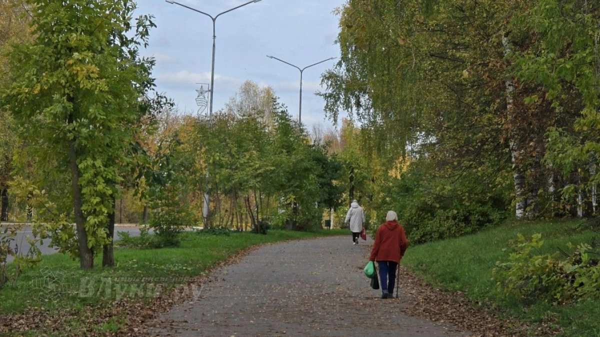 В Великих Луках 6 октября ожидается небольшой дождь: какую прогнозируют температуру