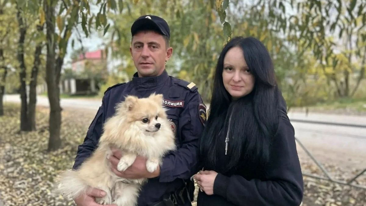 В Великих Луках полицейский спас шпица от агрессивной овчарки