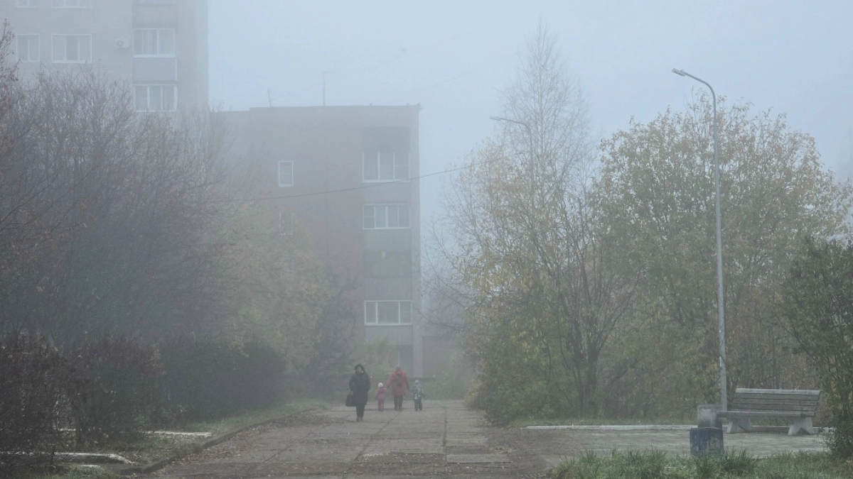 Туман и потепление: прогноз погоды в Великих Луках на 8 октября