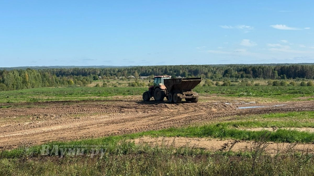 Михаил Ведерников поздравил аграриев Псковской области с профессиональным праздником