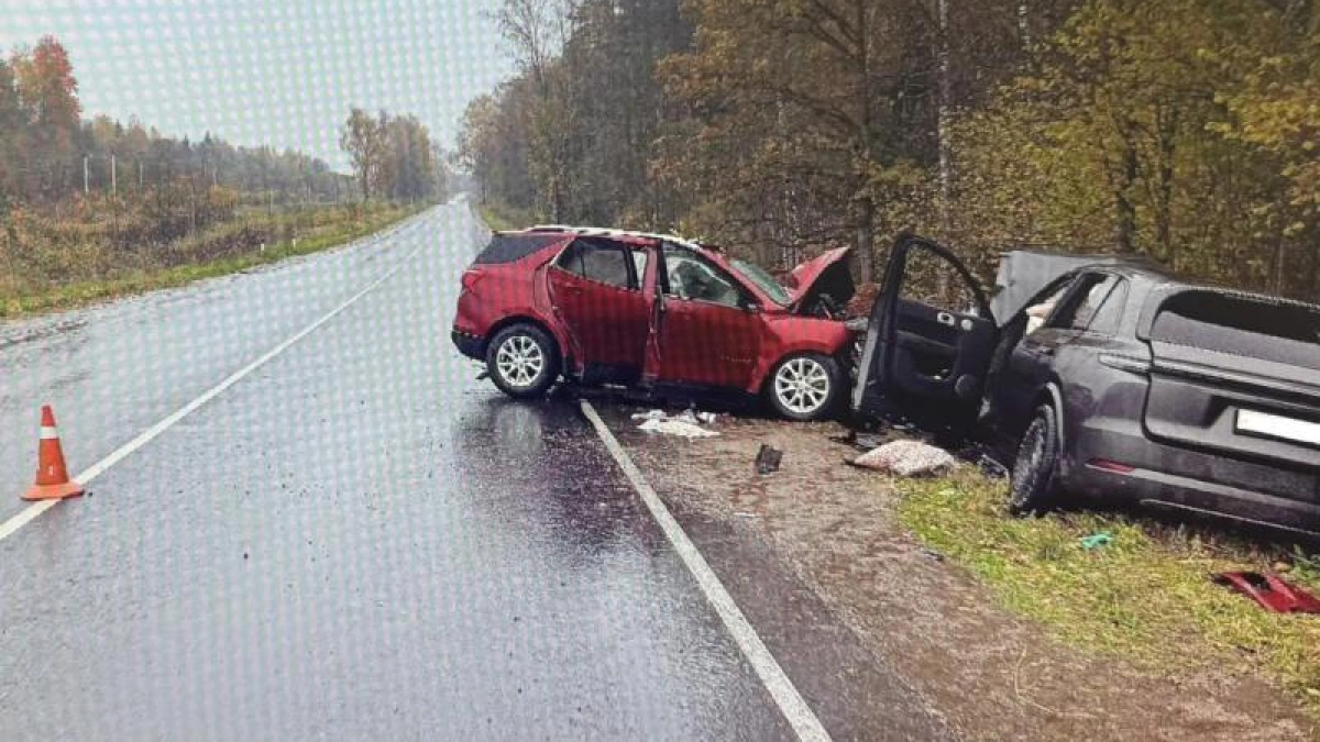 Два человека погибли в ДТП на трассе в Псковской области