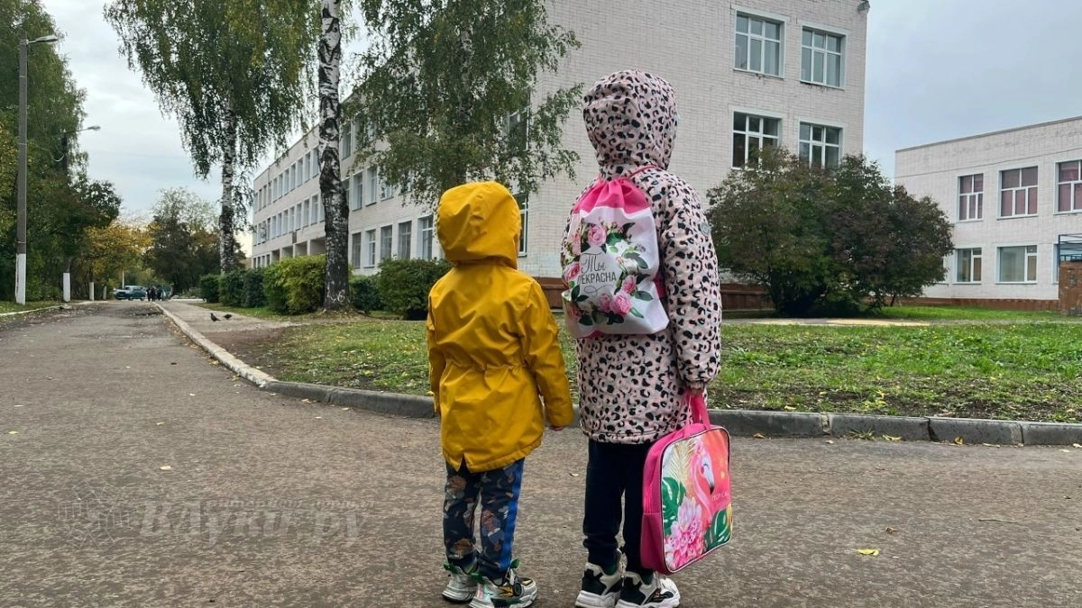 В Великих Луках муниципальный этап олимпиады школьников пройдёт с 6 ноября по 4 декабря