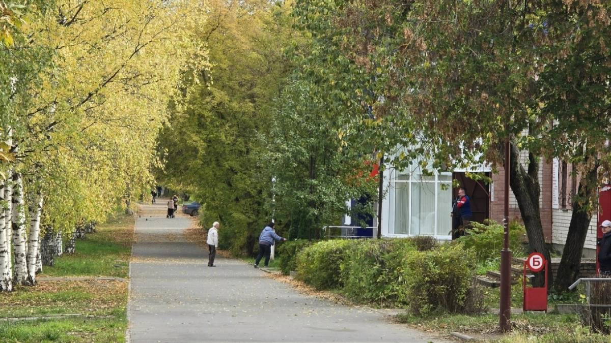 В Великих Луках 14 октября ожидаются дожди и температура до +11 градусов