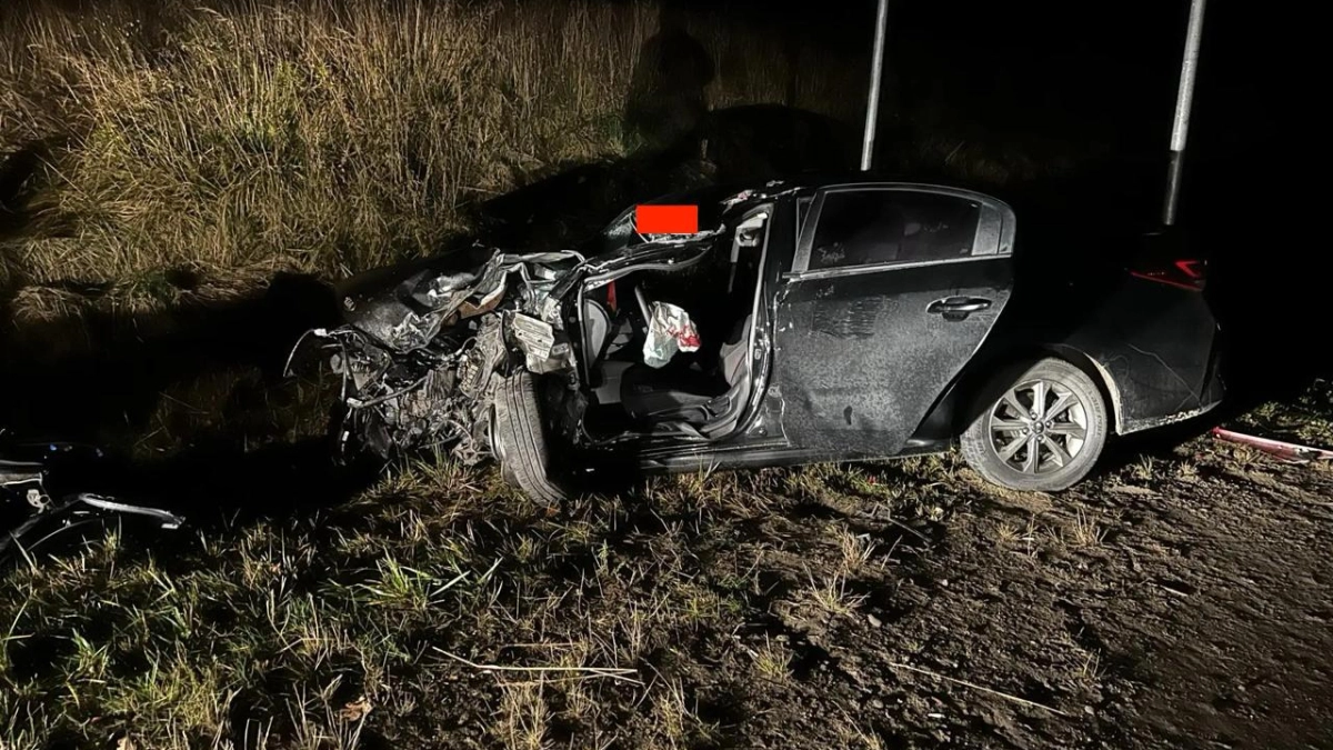 Лобовое столкновение с грузовиком: в Великолукском районе водитель Kia Rio попал в реанимацию из-за аварии