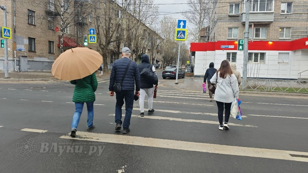 В Псковской области за девять месяцев в ДТП погибли восемь пешеходов