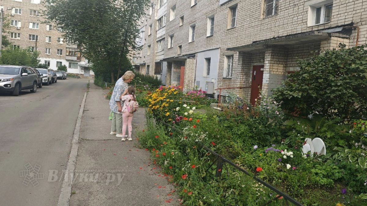 В Псковской области на поддержку проектов ТОС направили рекордные 400 млн рублей