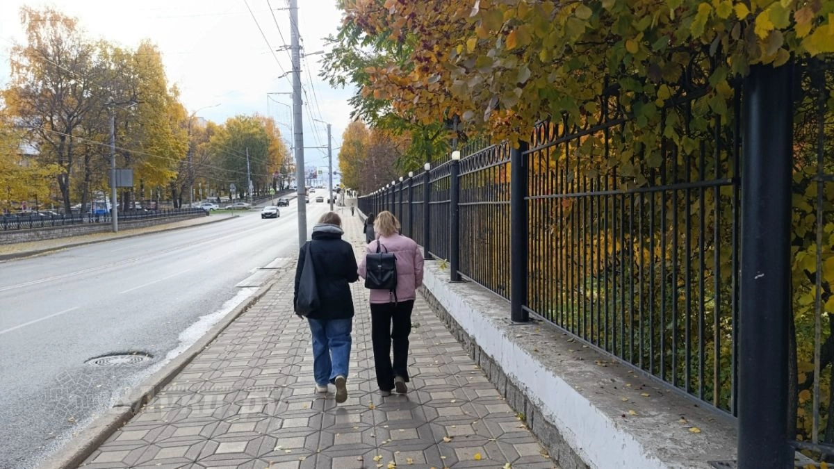 В Великих Луках 16 октября ожидается прохладная погода без осадков