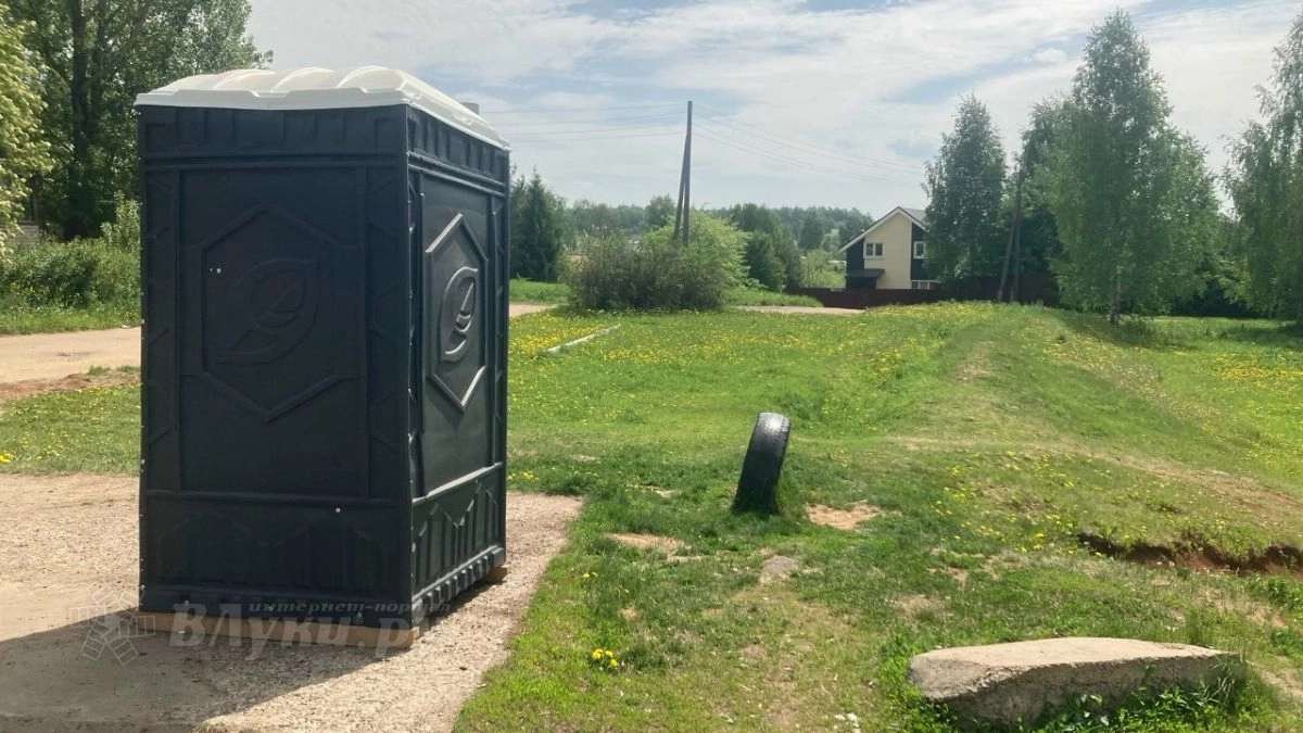 В Пскове мужчину отправят на принудительное лечение за кражу уличного туалета