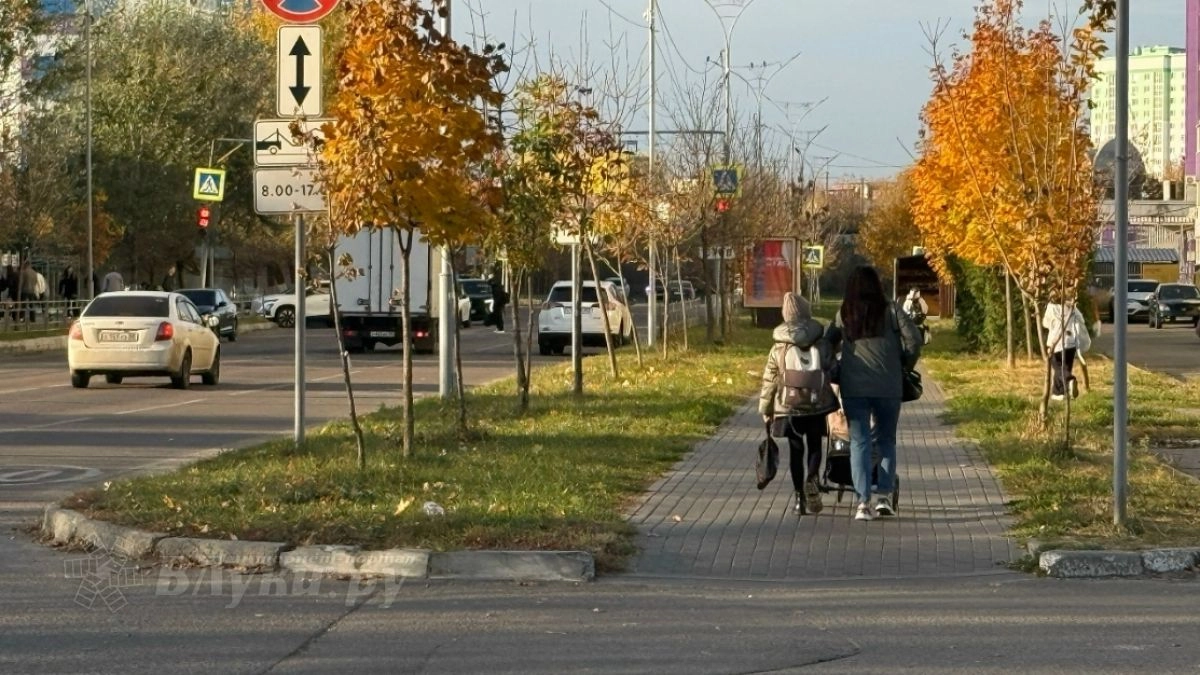 В Великих Луках 19 октября ожидается прохладная погода с температурой до +9 градусов