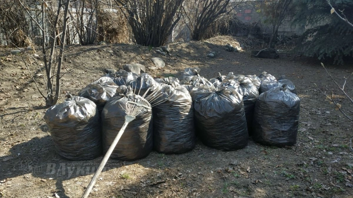 В Великих Луках до 15 ноября продлится осенний месячник по благоустройству