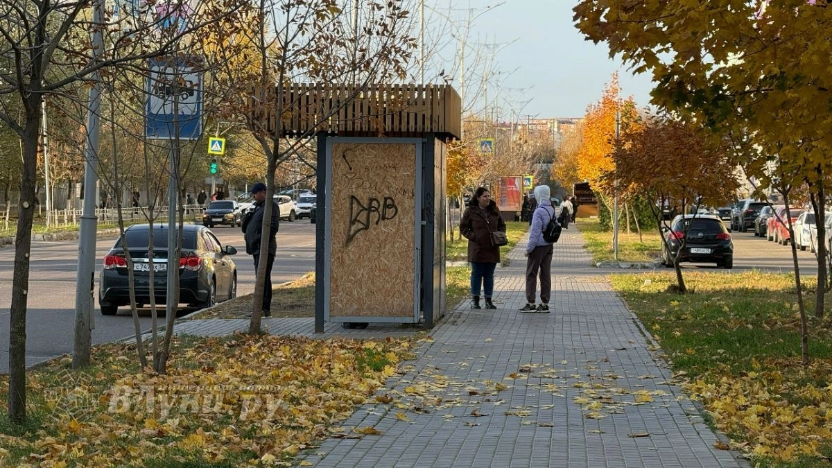 В Великих Луках 20 октября ожидается до +10 °C и переменная облачность