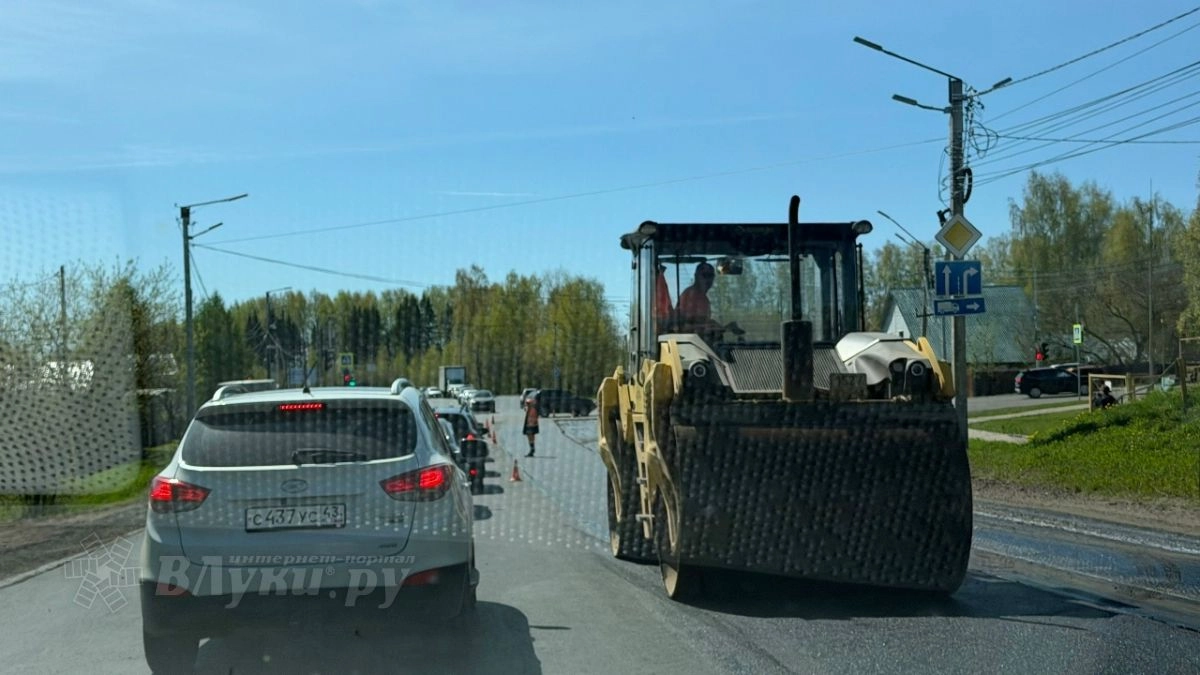 Администрацию Дедовичского округа обязали отремонтировать трёхкилометровую дорогу